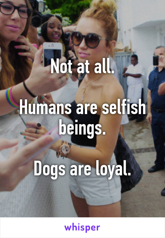 Not at all.

Humans are selfish beings.

Dogs are loyal.