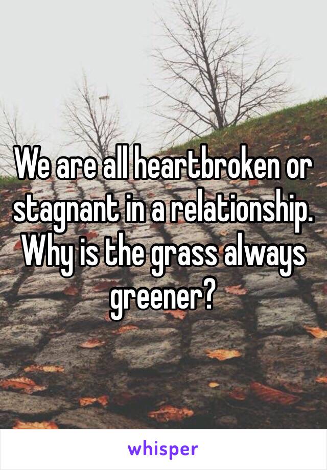 We are all heartbroken or stagnant in a relationship. Why is the grass always greener?