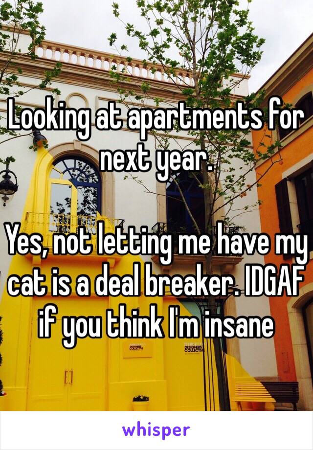 Looking at apartments for next year. 

Yes, not letting me have my cat is a deal breaker. IDGAF if you think I'm insane