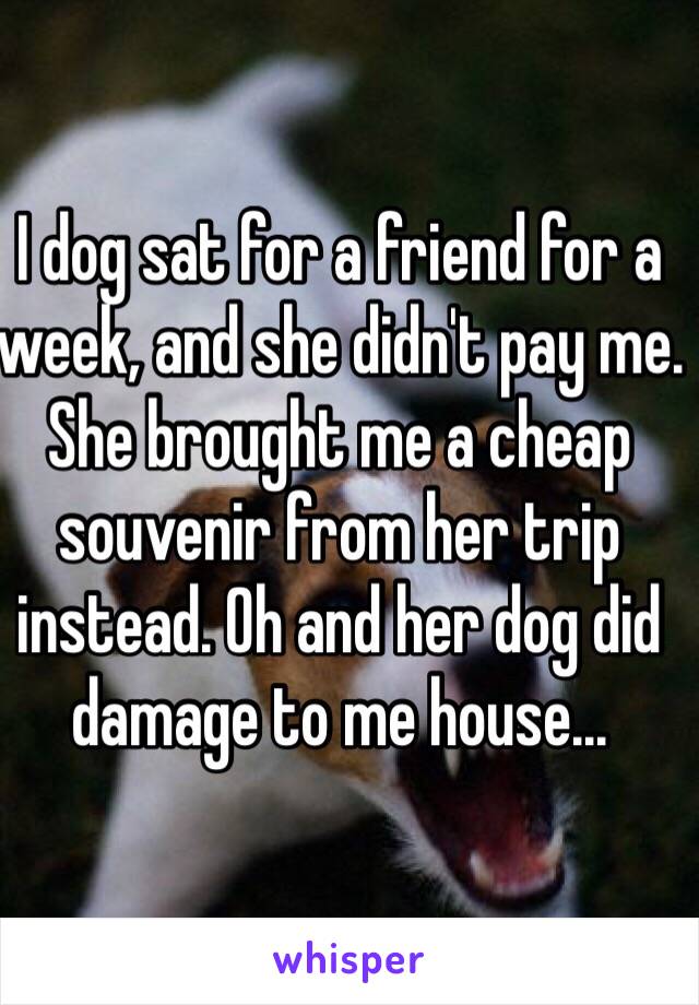 I dog sat for a friend for a week, and she didn't pay me. She brought me a cheap souvenir from her trip instead. Oh and her dog did damage to me house...