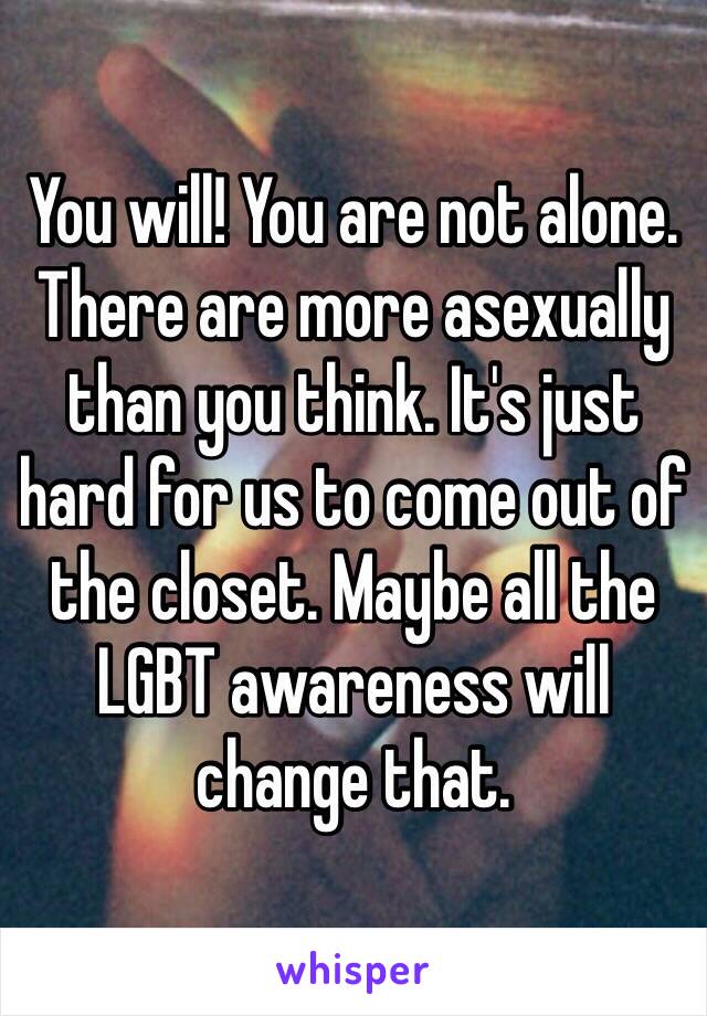 You will! You are not alone. There are more asexually than you think. It's just hard for us to come out of the closet. Maybe all the LGBT awareness will change that.