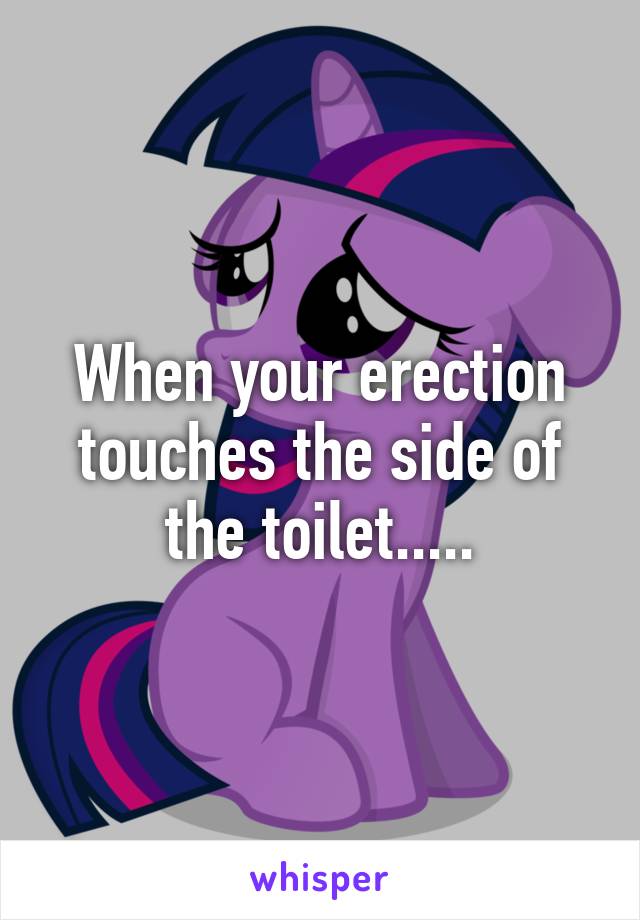 When your erection touches the side of the toilet.....