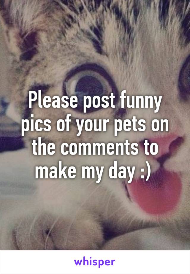 Please post funny pics of your pets on the comments to make my day :) 