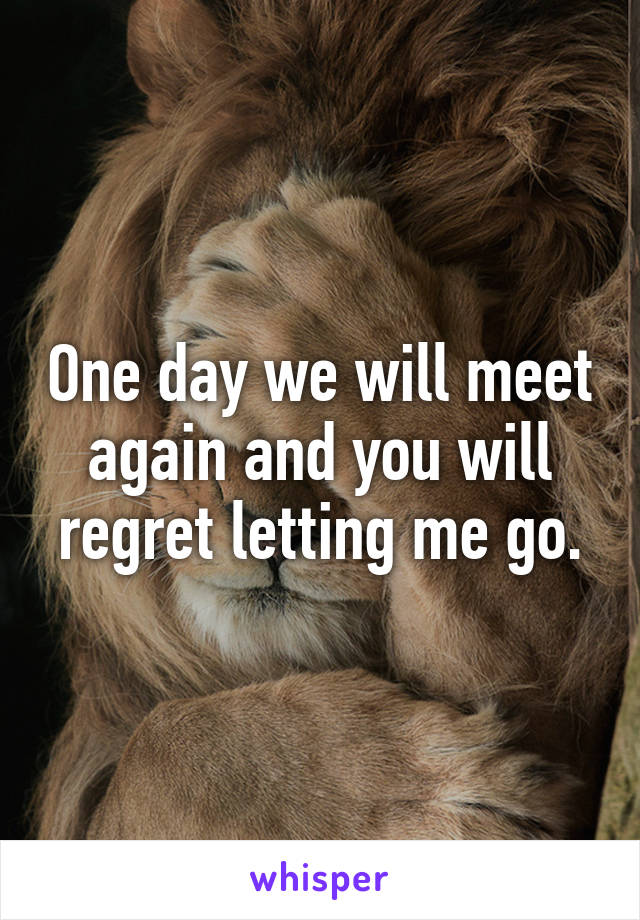 One day we will meet again and you will regret letting me go.