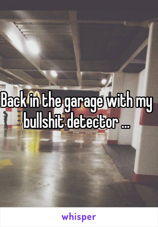 Back in the garage with my bullshit detector ...