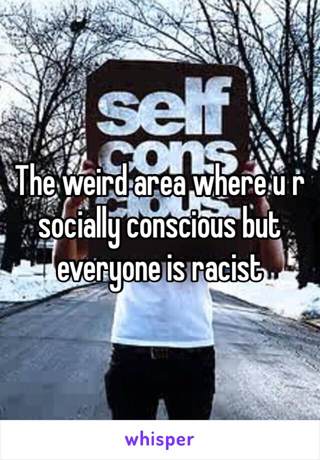 The weird area where u r socially conscious but everyone is racist 