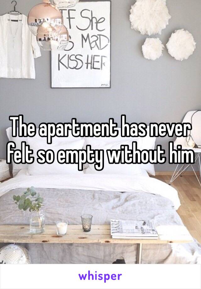 The apartment has never felt so empty without him 