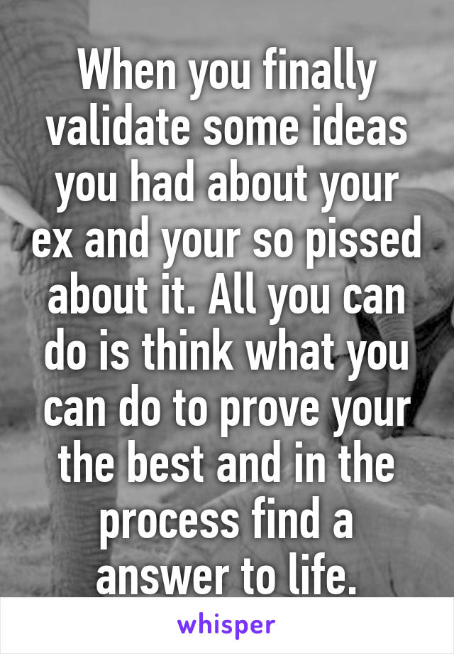 When you finally validate some ideas you had about your ex and your so pissed about it. All you can do is think what you can do to prove your the best and in the process find a answer to life.