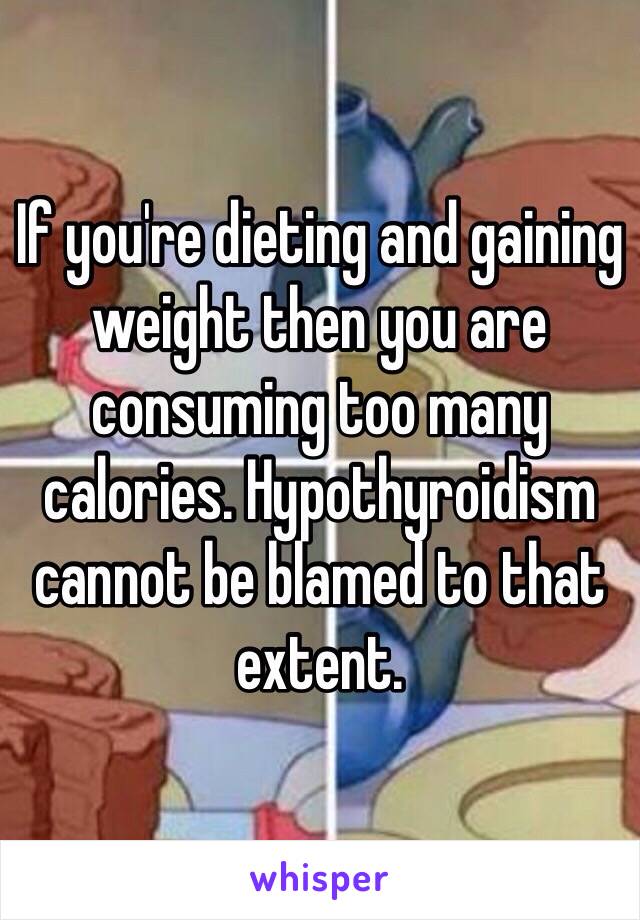 If you're dieting and gaining weight then you are consuming too many calories. Hypothyroidism cannot be blamed to that extent. 