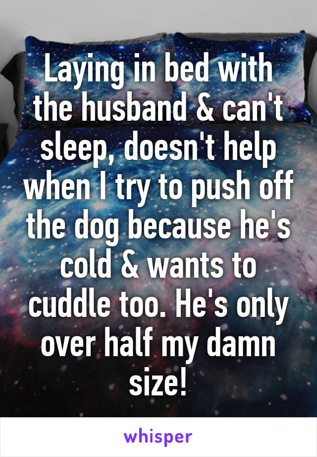 Laying in bed with the husband & can't sleep, doesn't help when I try to push off the dog because he's cold & wants to cuddle too. He's only over half my damn size!