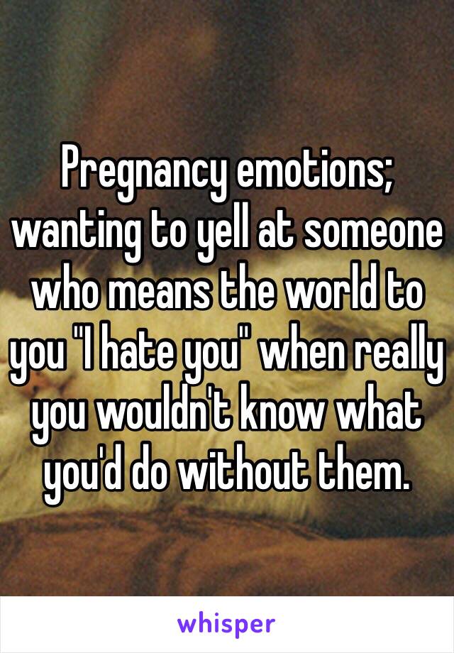 Pregnancy emotions; wanting to yell at someone who means the world to you "I hate you" when really you wouldn't know what you'd do without them.