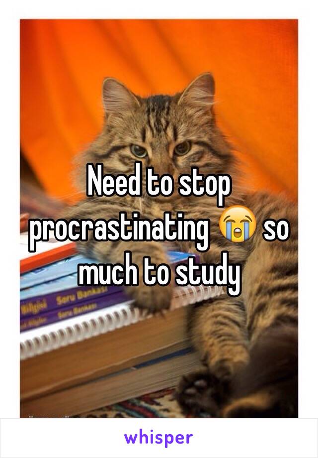 Need to stop procrastinating 😭 so much to study 