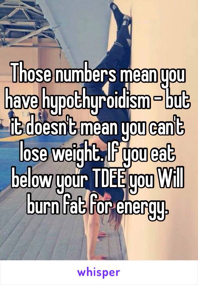 Those numbers mean you have hypothyroidism - but it doesn't mean you can't lose weight. If you eat below your TDEE you Will burn fat for energy. 