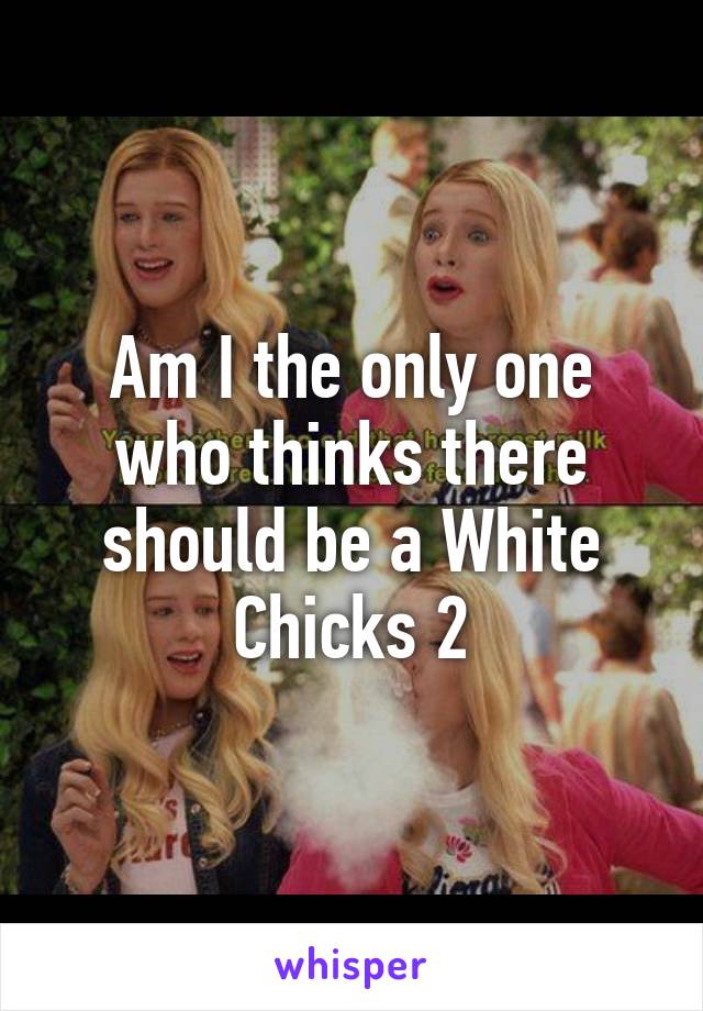 Am I the only one who thinks there should be a White Chicks 2