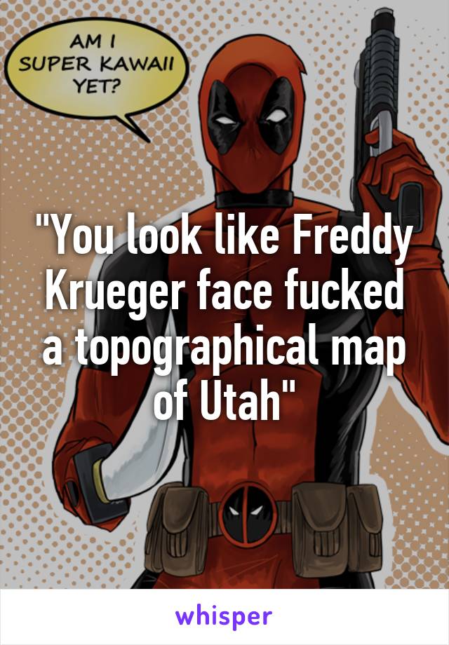 "You look like Freddy Krueger face fucked a topographical map of Utah"