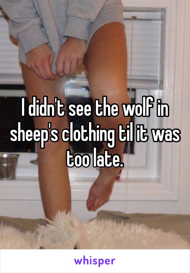 I didn't see the wolf in sheep's clothing til it was too late. 