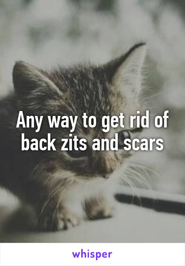 Any way to get rid of back zits and scars