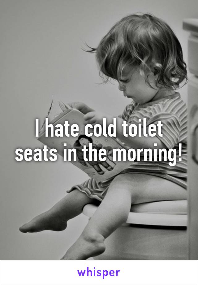 I hate cold toilet seats in the morning!