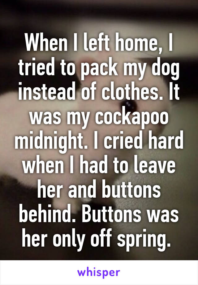 When I left home, I tried to pack my dog instead of clothes. It was my cockapoo midnight. I cried hard when I had to leave her and buttons behind. Buttons was her only off spring. 