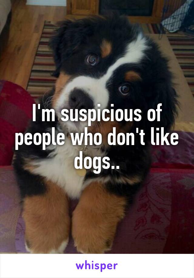 I'm suspicious of people who don't like dogs..