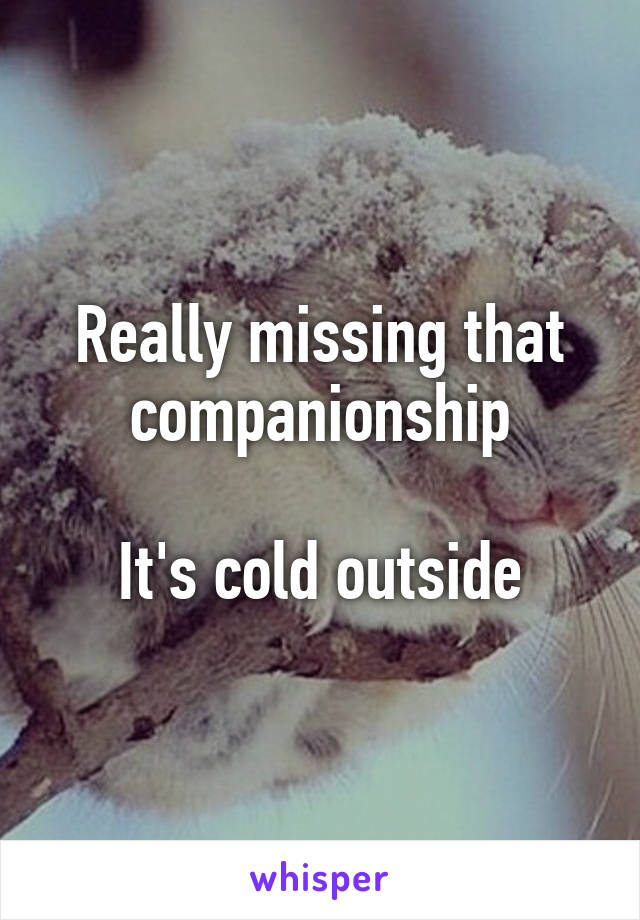 Really missing that companionship

It's cold outside