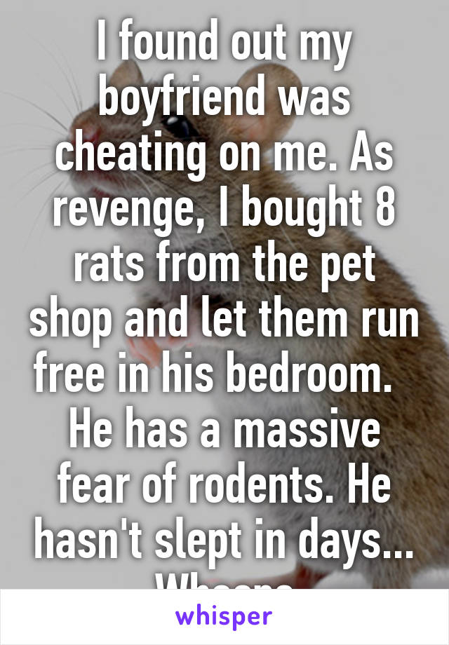 I found out my boyfriend was cheating on me. As revenge, I bought 8 rats from the pet shop and let them run free in his bedroom.   He has a massive fear of rodents. He hasn't slept in days... Whoops