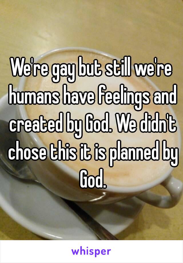 We're gay but still we're humans have feelings and created by God. We didn't chose this it is planned by God.