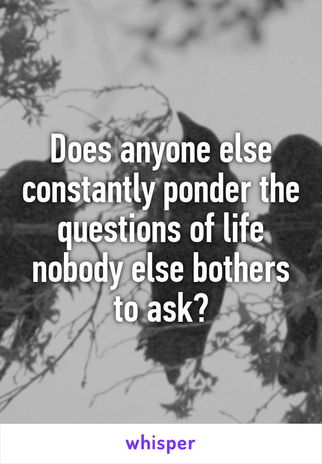 Does anyone else constantly ponder the questions of life nobody else bothers to ask?