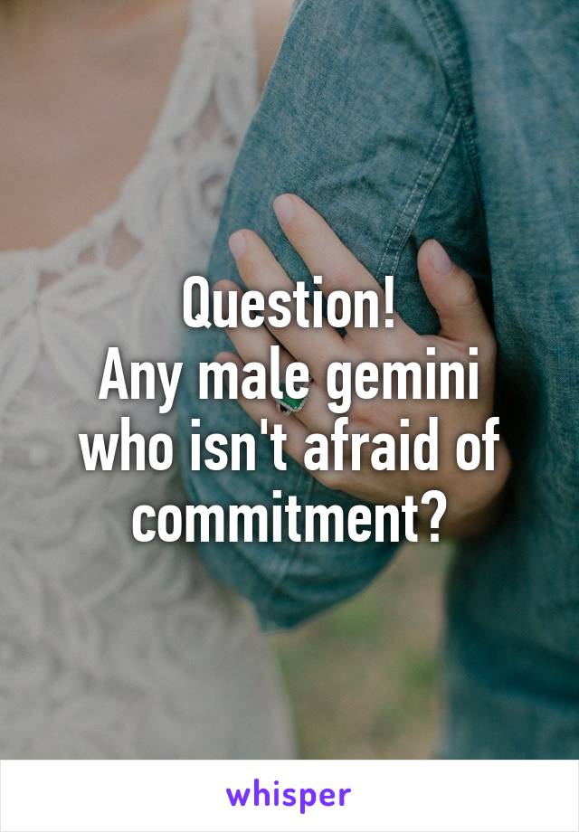 Question!
Any male gemini who isn't afraid of commitment?