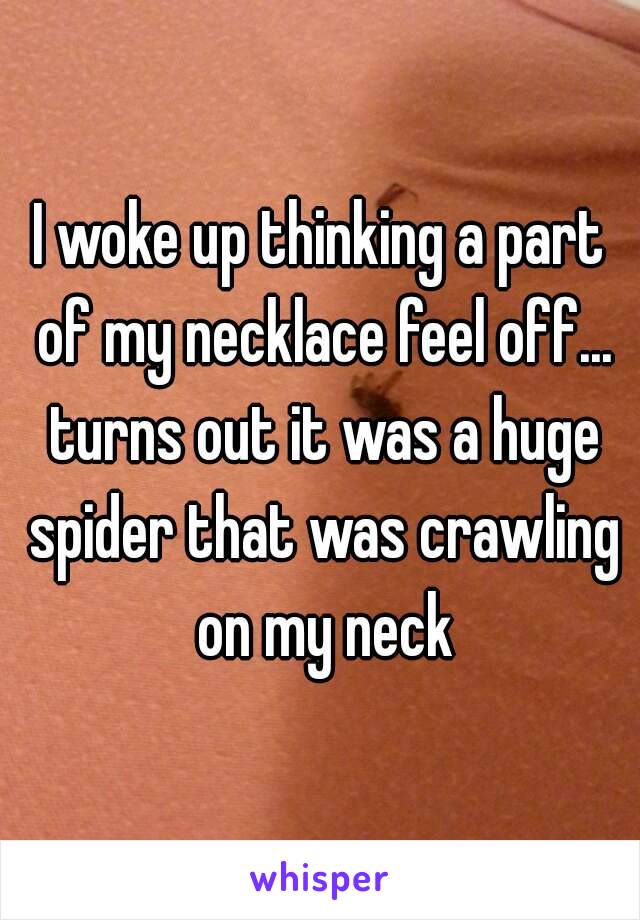 I woke up thinking a part of my necklace feel off... turns out it was a huge spider that was crawling on my neck