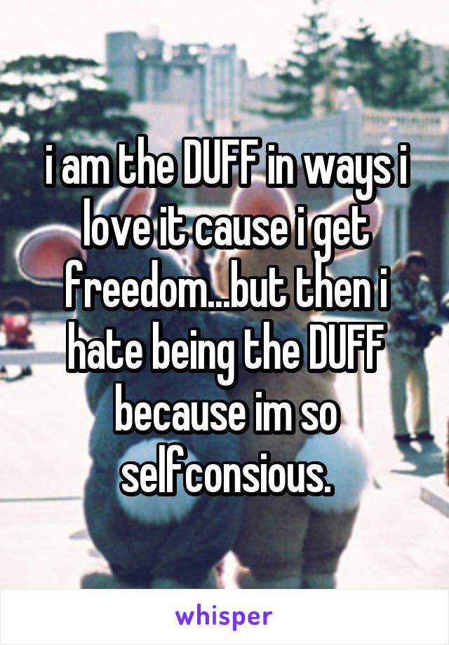 i am the DUFF in ways i love it cause i get freedom...but then i hate being the DUFF because im so selfconsious.