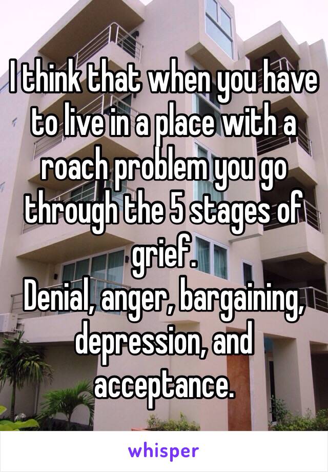 I think that when you have to live in a place with a roach problem you go through the 5 stages of grief. 
Denial, anger, bargaining, depression, and acceptance.