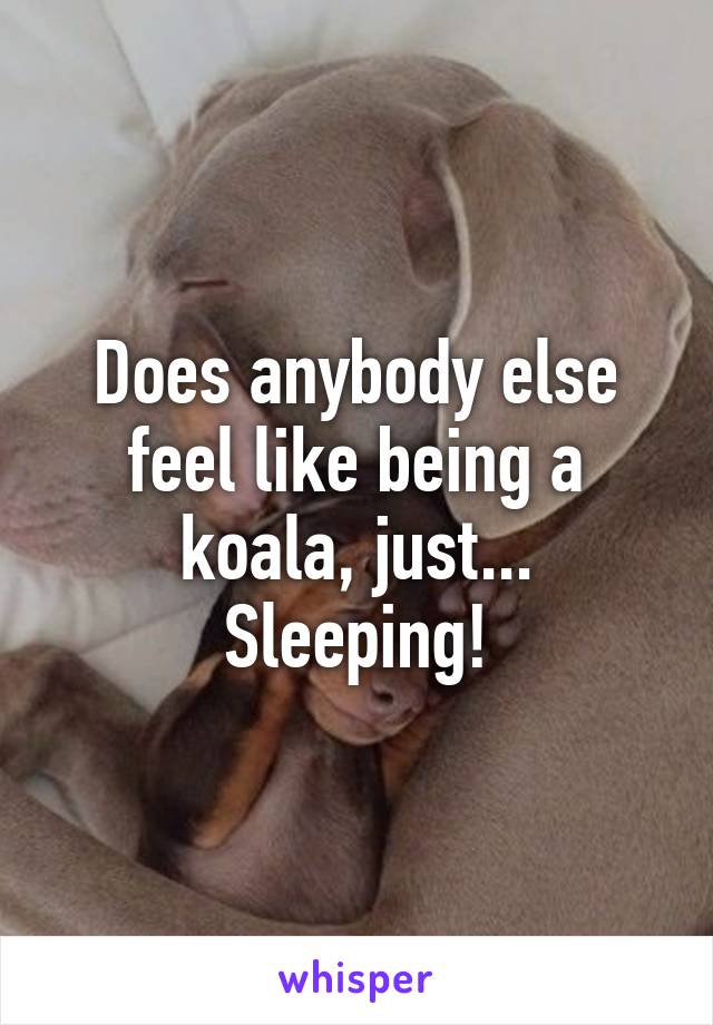 Does anybody else feel like being a koala, just... Sleeping!