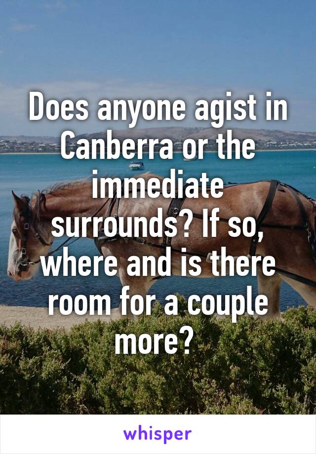 Does anyone agist in Canberra or the immediate surrounds? If so, where and is there room for a couple more? 