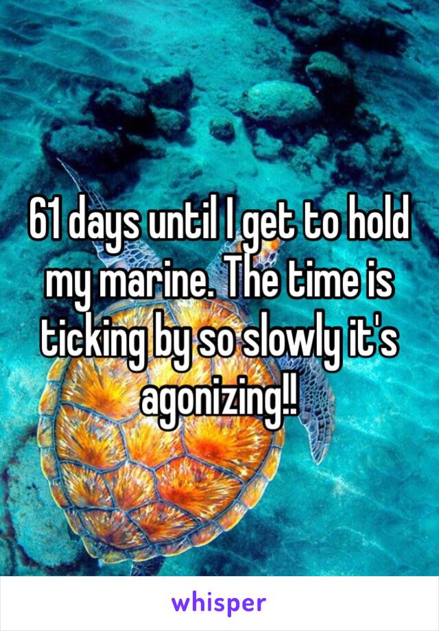 61 days until I get to hold my marine. The time is ticking by so slowly it's agonizing!! 