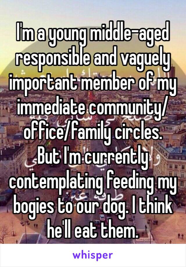 I'm a young middle-aged responsible and vaguely important member of my immediate community/office/family circles.
But I'm currently contemplating feeding my bogies to our dog. I think he'll eat them.