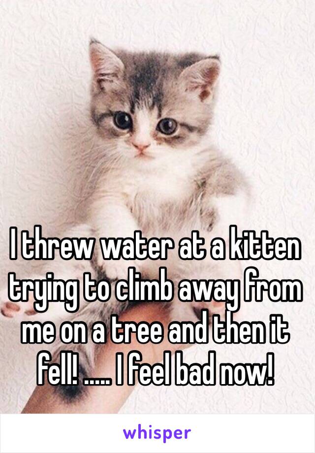 I threw water at a kitten trying to climb away from me on a tree and then it fell! ..... I feel bad now!