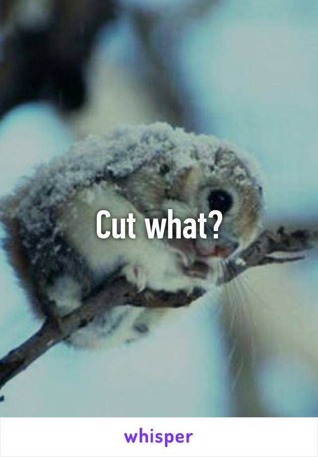 Cut what?