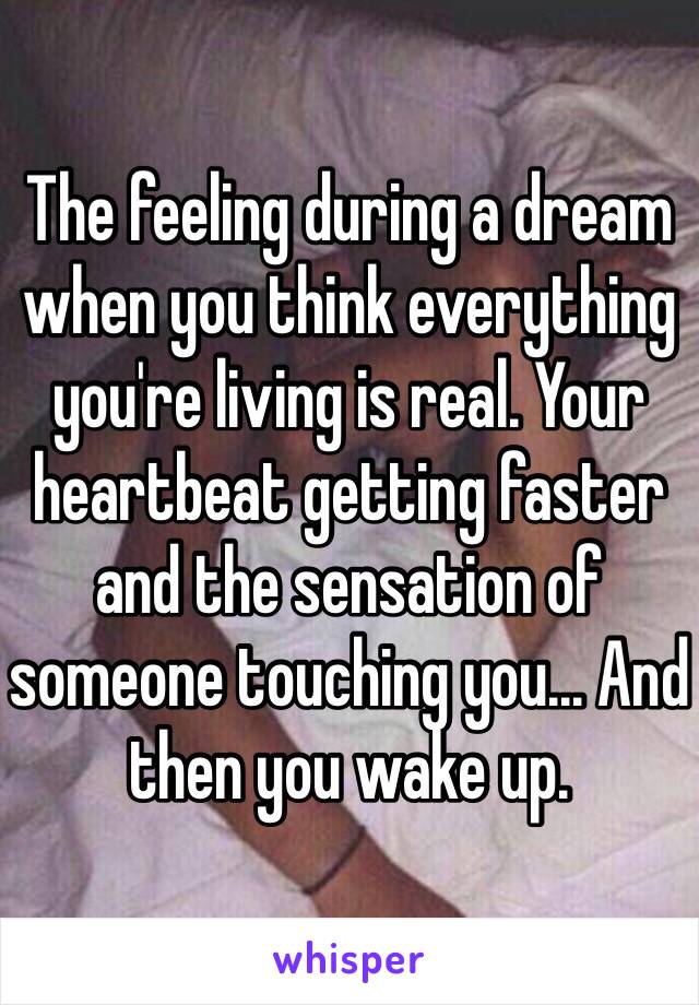 The feeling during a dream when you think everything you're living is real. Your heartbeat getting faster and the sensation of someone touching you... And then you wake up.