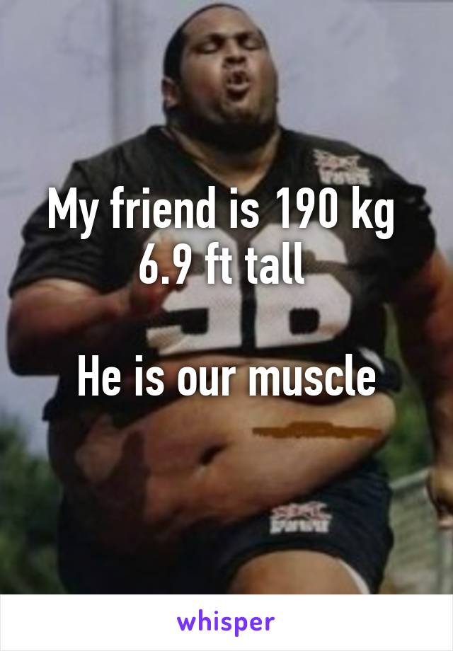 My friend is 190 kg 
6.9 ft tall 

He is our muscle
