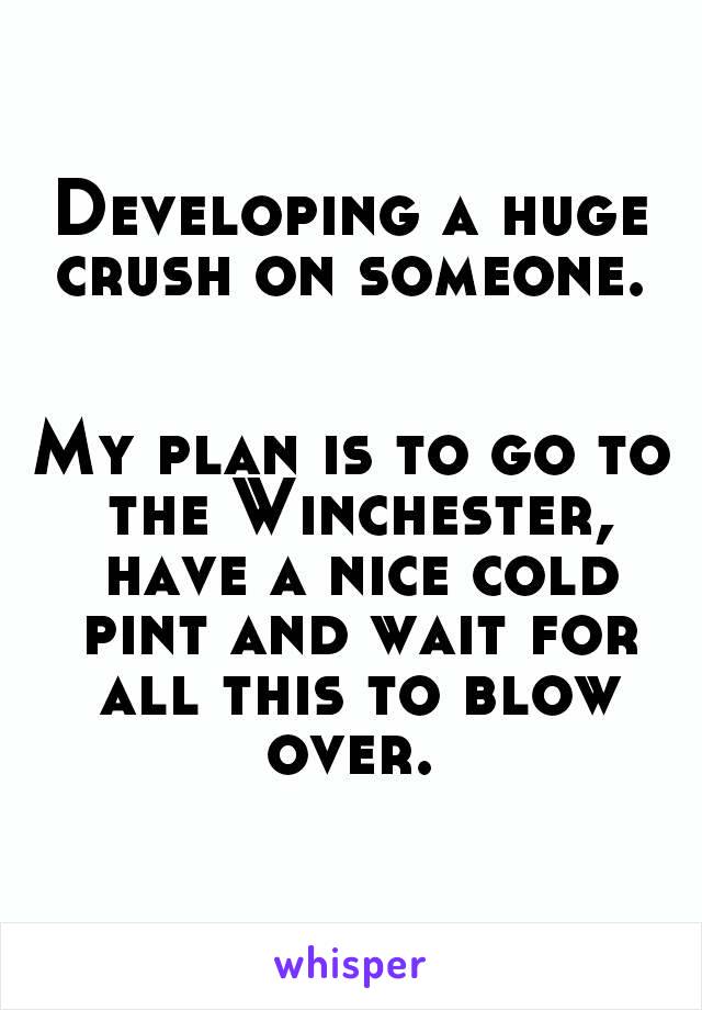 Developing a huge crush on someone. 


My plan is to go to the Winchester, have a nice cold pint and wait for all this to blow over. 