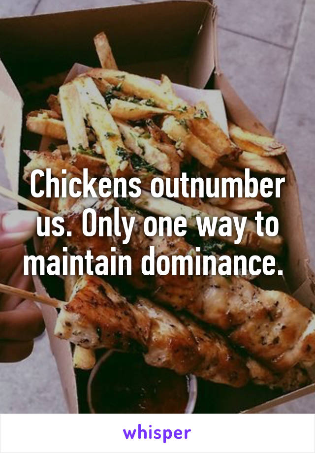 Chickens outnumber us. Only one way to maintain dominance. 