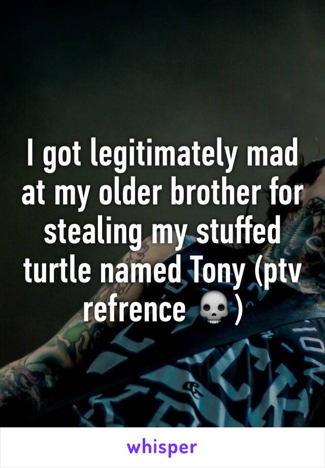 I got legitimately mad at my older brother for stealing my stuffed turtle named Tony (ptv refrence 💀)