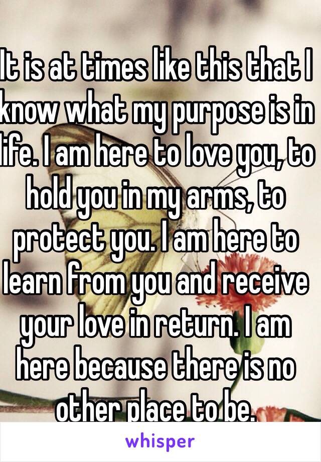 It is at times like this that I know what my purpose is in life. I am here to love you, to hold you in my arms, to protect you. I am here to learn from you and receive your love in return. I am here because there is no other place to be. 