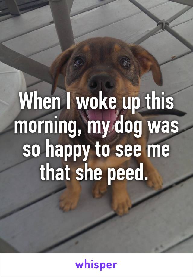 When I woke up this morning, my dog was so happy to see me that she peed. 