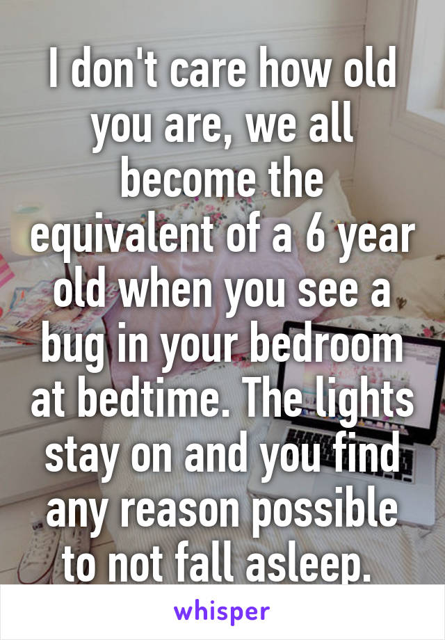 I don't care how old you are, we all become the equivalent of a 6 year old when you see a bug in your bedroom at bedtime. The lights stay on and you find any reason possible to not fall asleep. 