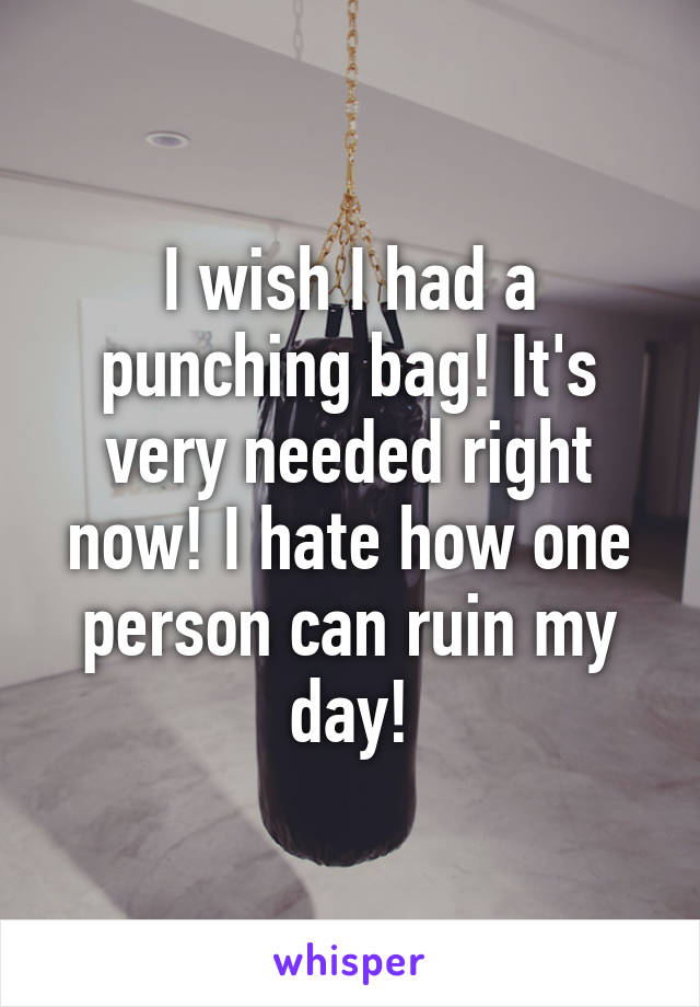 I wish I had a punching bag! It's very needed right now! I hate how one person can ruin my day!