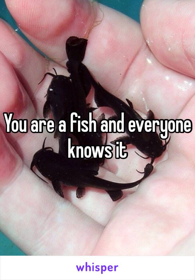 You are a fish and everyone knows it