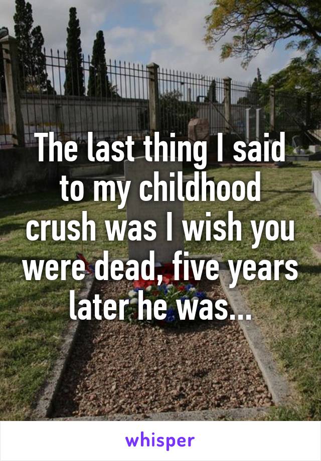 The last thing I said to my childhood crush was I wish you were dead, five years later he was...