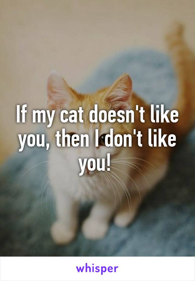 If my cat doesn't like you, then I don't like you! 